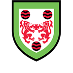 Birr Camogie