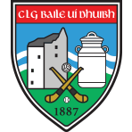Ballyduff Lower GAA, LGFA & Camogie Club