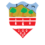 Drom and Inch Camogie Club