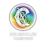 Drumcullen Camogie Club