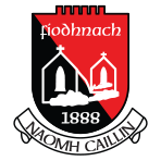 Fenagh St. Caillins