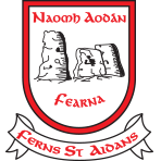 Ferns St Aidans