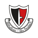 Oulart The Ballagh GAA and Camogie Club