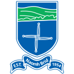St. Brigid's GAA Offaly