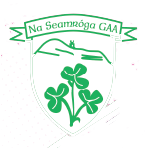 Shamrock Ladies Football Club