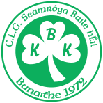 Shamrocks GAA Ballyhale