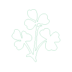 St. Patrick's GFC, Louth