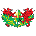Yeovil Rugby Club