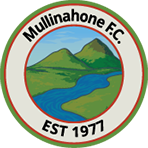 Mullinahone FC