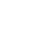 Women's Skechers Sneakers
