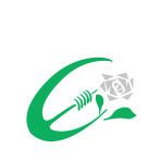 Tralee Rugby Club