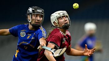 Irish News In Sports Blog December 2025 Week 3