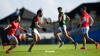Irish News In Sports Blog November 2025 - Week 1