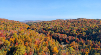 Mindfulness in Autumn 