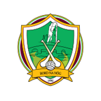 Askeaton Ballysteen Kilcornan Ladies