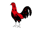 Aspatria RUFC