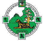 Ballyfore GAA