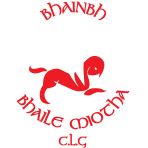 Bannow-Ballymitty GAA Club