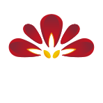 Briars Rugby