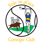 Castlepollard Camogie Club
