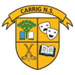 Carrig N.S.