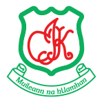 Mullinahone GAA