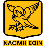 Naomh Eoin GAA Carlow