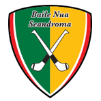 Newtownshandrum GAA