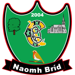 Naomh Brid Camogie