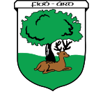St. Rita's Camogie Club