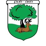 St. Rita's Camogie Club