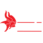 Tuggeranong Vikings