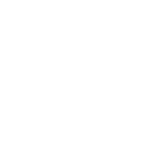 Temora Dragons