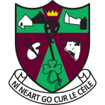Tulsk GAA