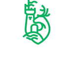 University of Limerick GAA Club