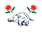 Wagga Waratahs Rugby Club