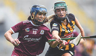 Camogie County
