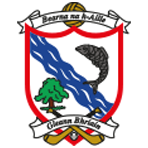 Oylegate Glenbrien Camogie Club
