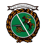 Sarsfields Camogie Club