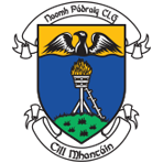 St. Patrick's GAA Wicklow