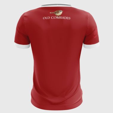 Dingle GAA Player Fit Jersey