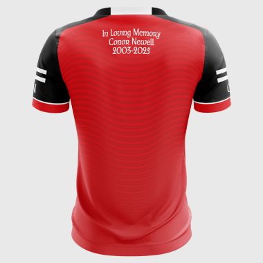 Detroit Wolfetones Jersey