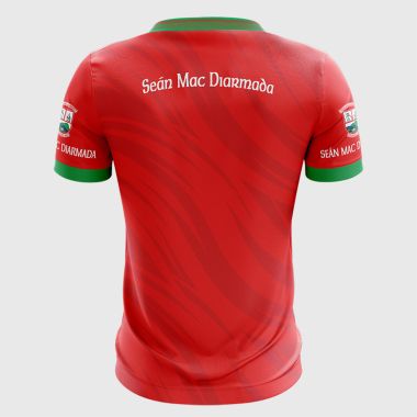 Sean Mc Dermotts GFC Louth Player Fit Jersey