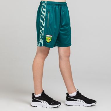 O'Neills Donegal GAA Kids' Electro Shorts Bottle / Green / White
