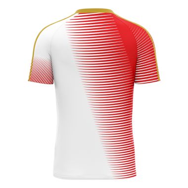 Cork Camogie Player Fit 2 Stripe Short Sleeve Training Top White / Red 2023