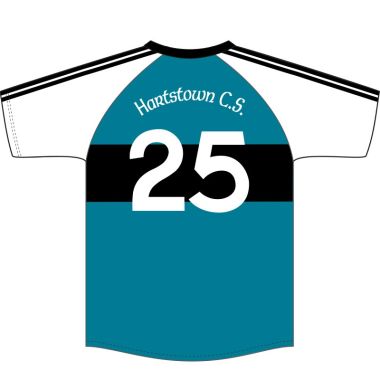 Hartstown Community School Kids&#039; Hurling Jersey