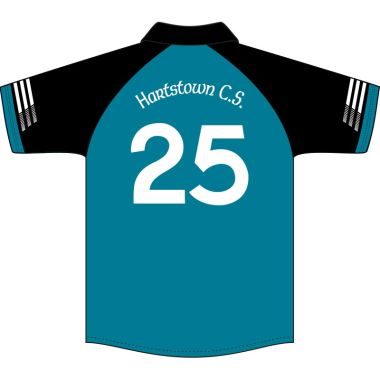 Hartstown Community School Juniors GAA Jersey