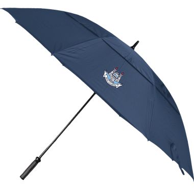 Dublin GAA Umbrella