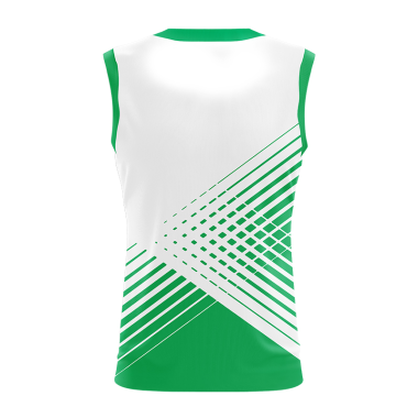 Shamrocks GAA Ballyhale Vest
