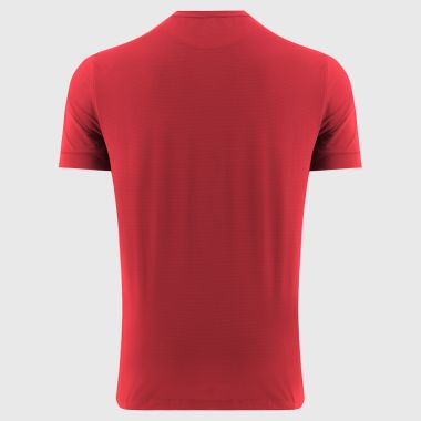 O'Neills Down GAA Men's Surge T-Shirt Red / Silver